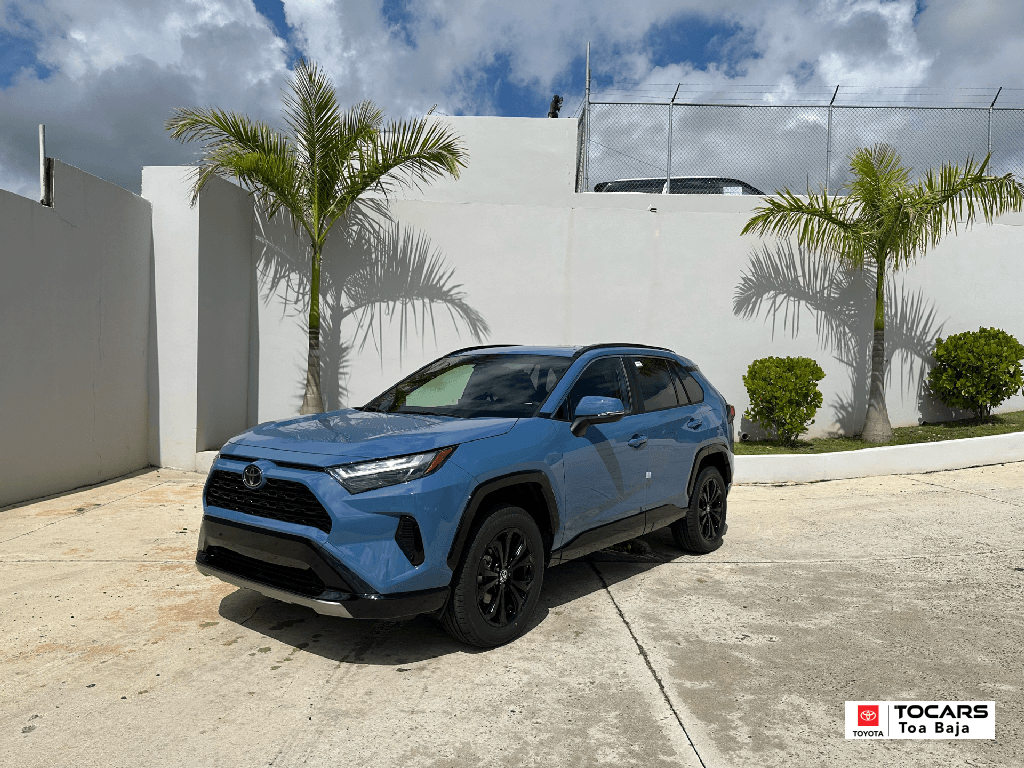 2025 Toyota RAV4