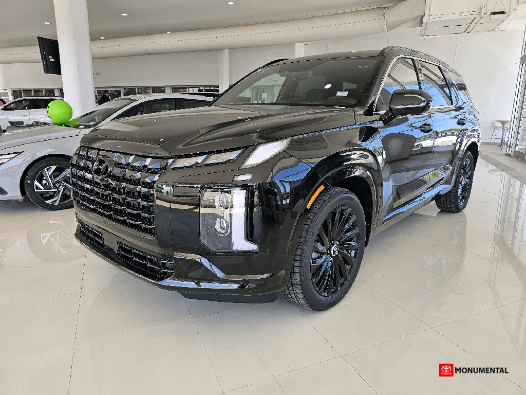 2025 Hyundai Palisade's photo
