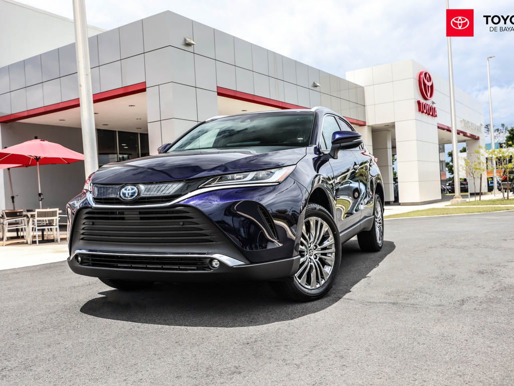 2024 Toyota Venza XLE's photo