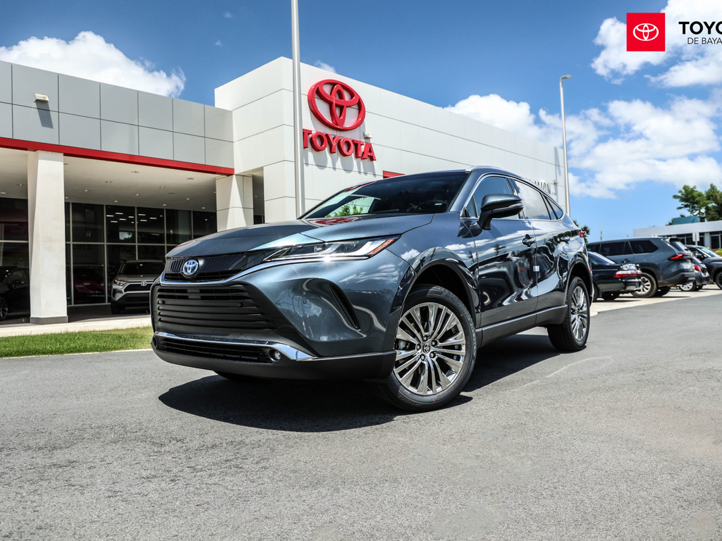 2024 Toyota Venza XLE's photo