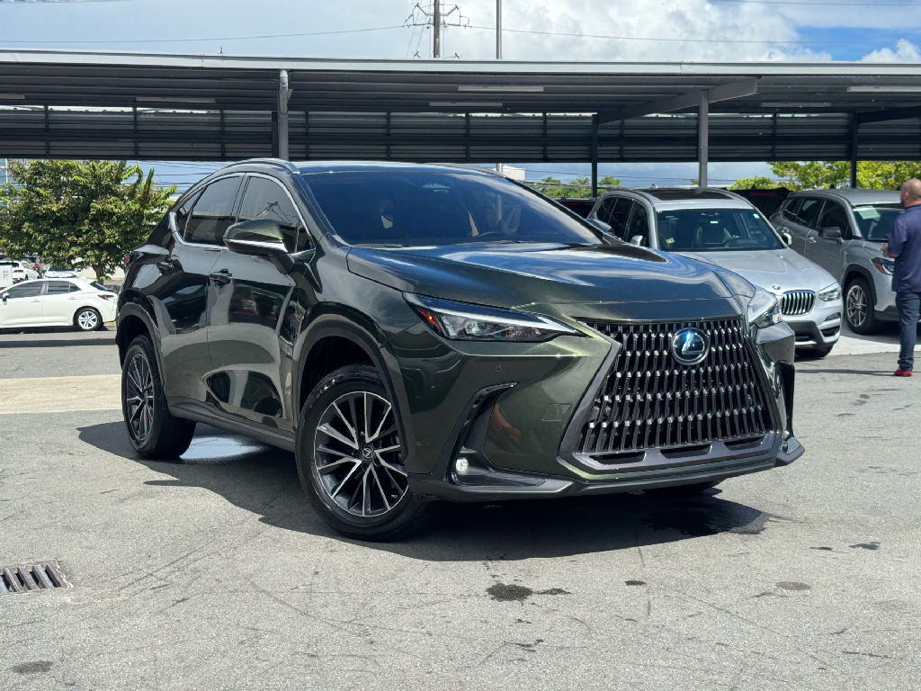 2022 Lexus NX 250's photo